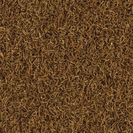 Tetra Delica Rote Mückenlarven – Bloodworms (Vörösszúnyog)