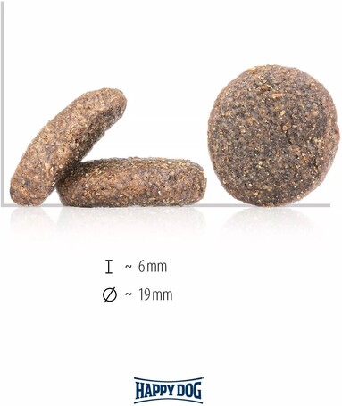 Happy Dog Sensible Irland