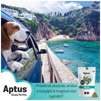 Aptus Relax gyorsan ható nyugtató rágótabletta #3