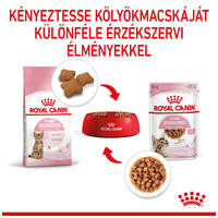 Royal Canin Kitten Sterilised Gravy - Ivartalanított kölyök macska szószos nedves táp #5