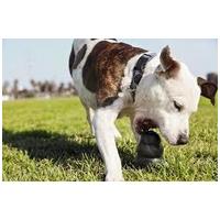 Kong Extreme harang #5