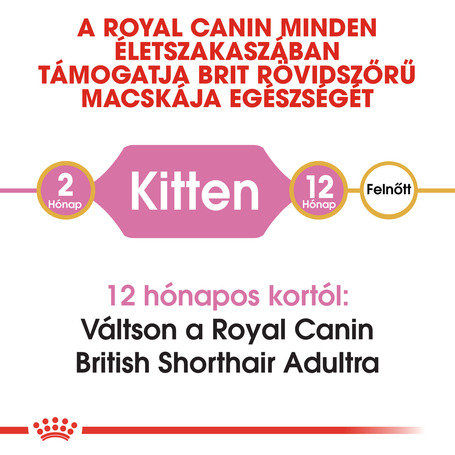 Royal Canin British Shorthair Kitten - Brit rövidszőrű kölyök macska száraz táp