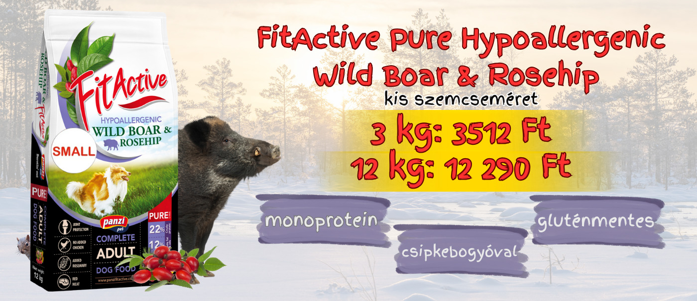 Kis tápszemcse, nagy kedvezmény: vaddisznós–csipkebogyós FitActive Pure kutyatáp extra jó áron!🤩
