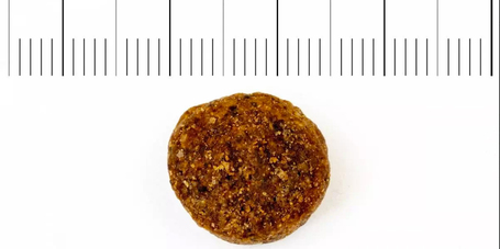 Profine Senior Turkey & Potatoes | Szenior kutyatáp pulykahússal és burgonyával