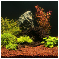 JBL Manado speciális növényi táptalaj akváriumokba #2