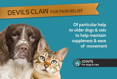 Blooming Pets Devils Claw Herbal Extract - Ördögcsáklya oldat kutyáknak és macskáknak