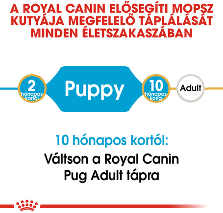 Royal Canin Pug Junior - Mopsz kölyök kutya száraz táp