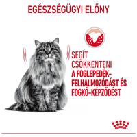 Royal Canin Dental Care - Száraz táp felnőtt macskák részére a fogkőképződés csökkentéséért #2