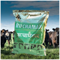 Ruchamax por - Bendőműködést és emésztést támogató gyógynövény-keverék #2