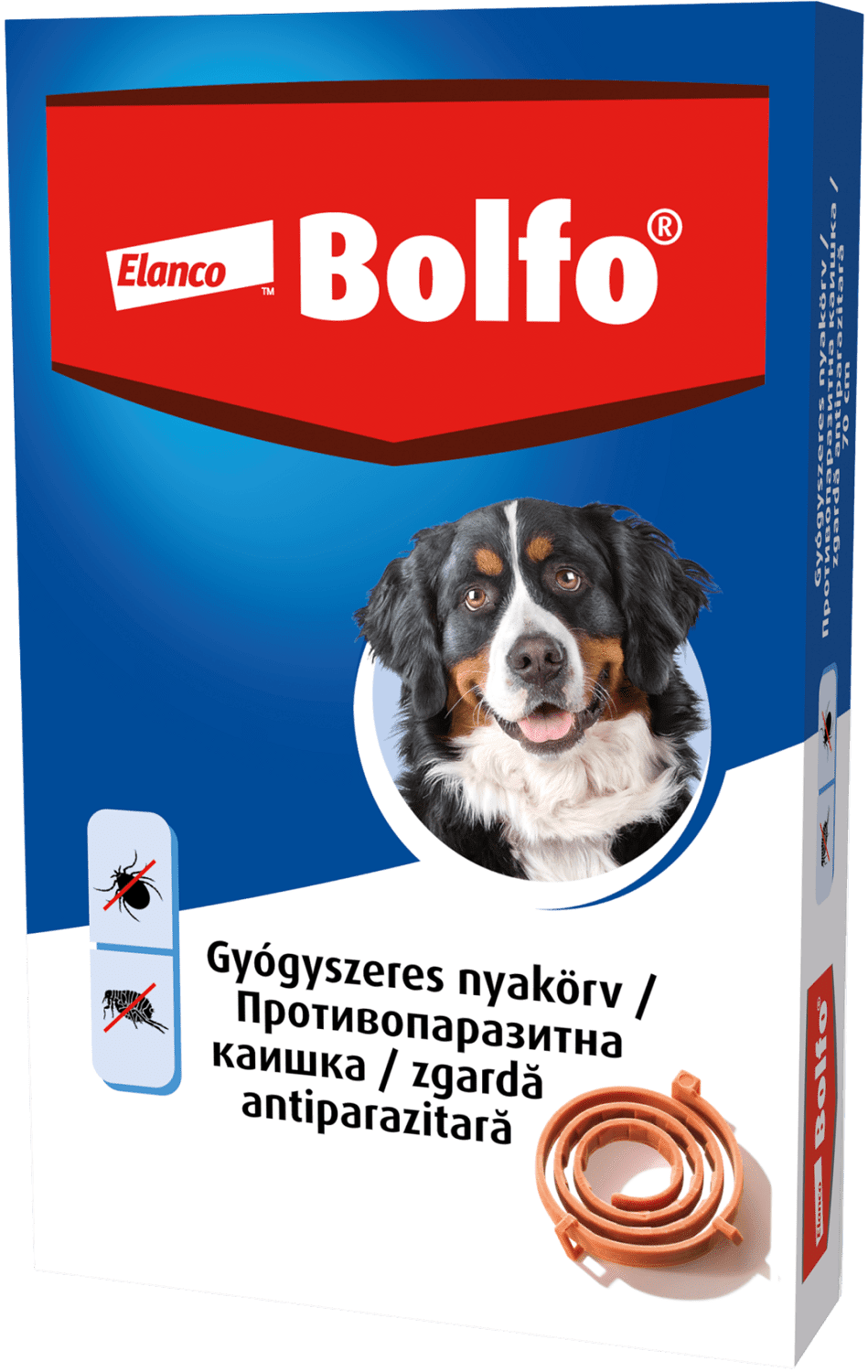 Zgardă Bolfo - zoom