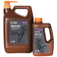 5 l