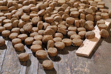 Bewi-Dog Basic szárnyashúsban gazdag száraztáp