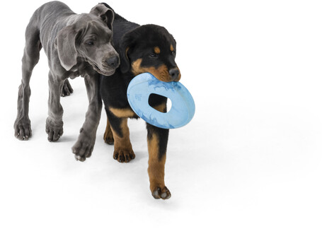 West Paw Seaflex Sailz - Károsanyag-mentes frizbi