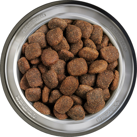 Belcando Adult Active