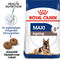 Royal Canin Maxi Ageing 8+ | Nagytestű idős kutya száraz táp