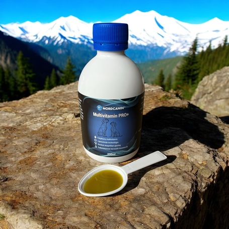 Nordcanin Multivitamin Pro+