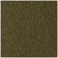 Tetra Phyll Granules prémium szemcsés díszhaltáp #4