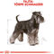 Royal Canin Miniature Schnauzer Adult - Törpe schnauzer felnőtt kutya száraz táp