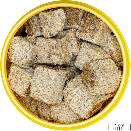 JBL ProNovo Fex tubifex