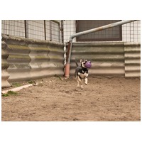 Stacy, 6 éves leányka #14