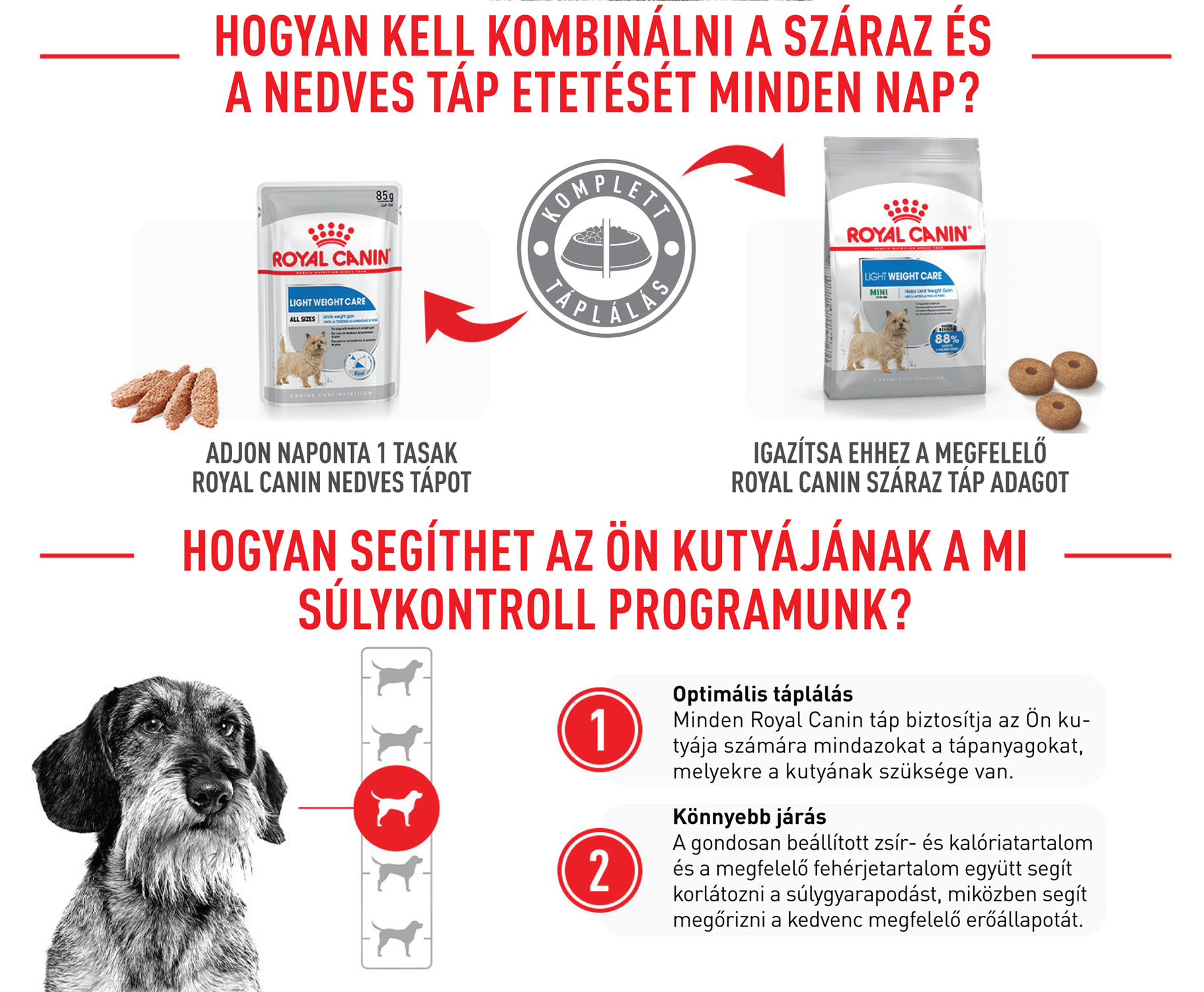 Royal Canin Light Weight Care - Nedves táp hízásra hajlamos felnőtt kutyák részére