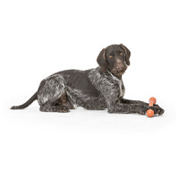 West Paw Zwig apport #7