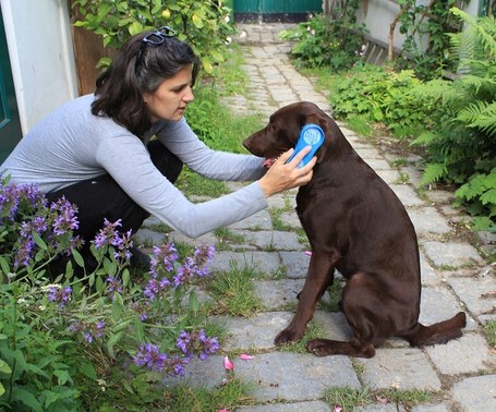 MagicBrush kutyakefék