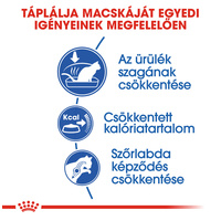 Royal Canin Indoor - Lakásban tartott felnőtt macska száraz táp #3