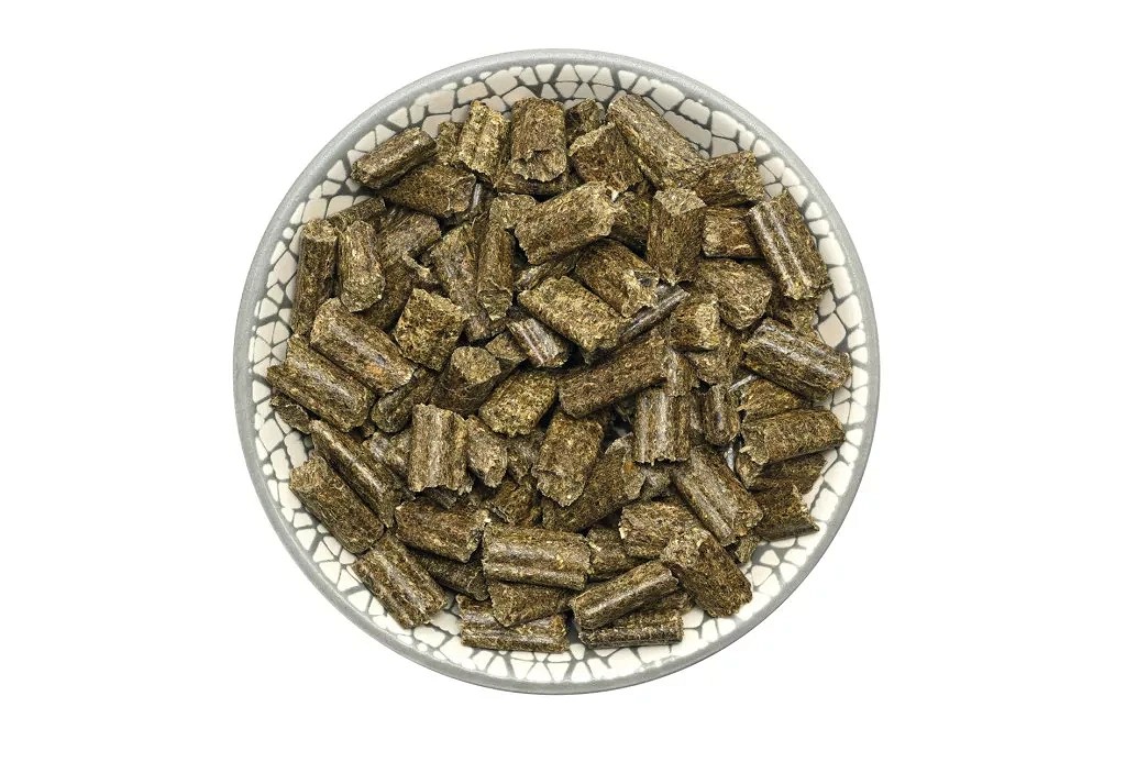 bunnyNature RabbitDream Basic