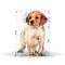 Royal Canin Medium Puppy - Közepes testű kölyök kutya száraz táp