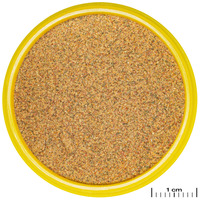 JBL ProNovo Bel Grano Baby #2