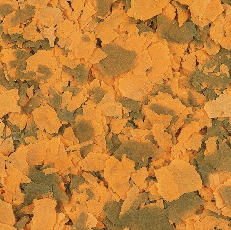 Tetra Cichlid XL Flakes lemezes sügértáp