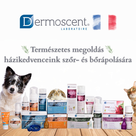 Dermoscent PYOspot kutyáknak