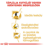 Royal Canin Beagle Adult - Beagle felnőtt kutya száraz táp #4