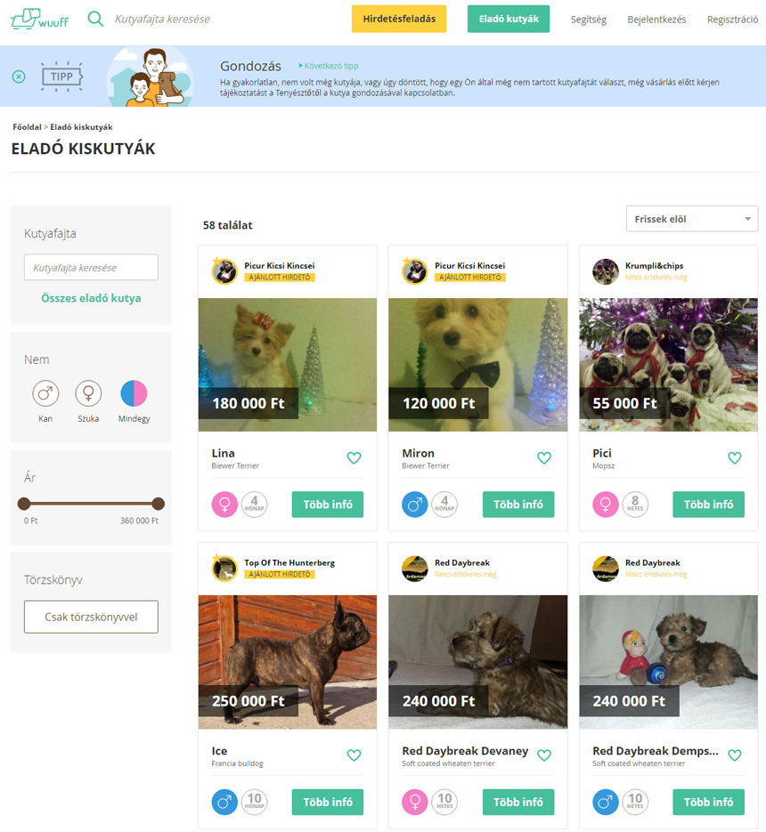 Wuuff.dog - Innovatív online felület kutyatenyésztők és kutyavásárlók számára