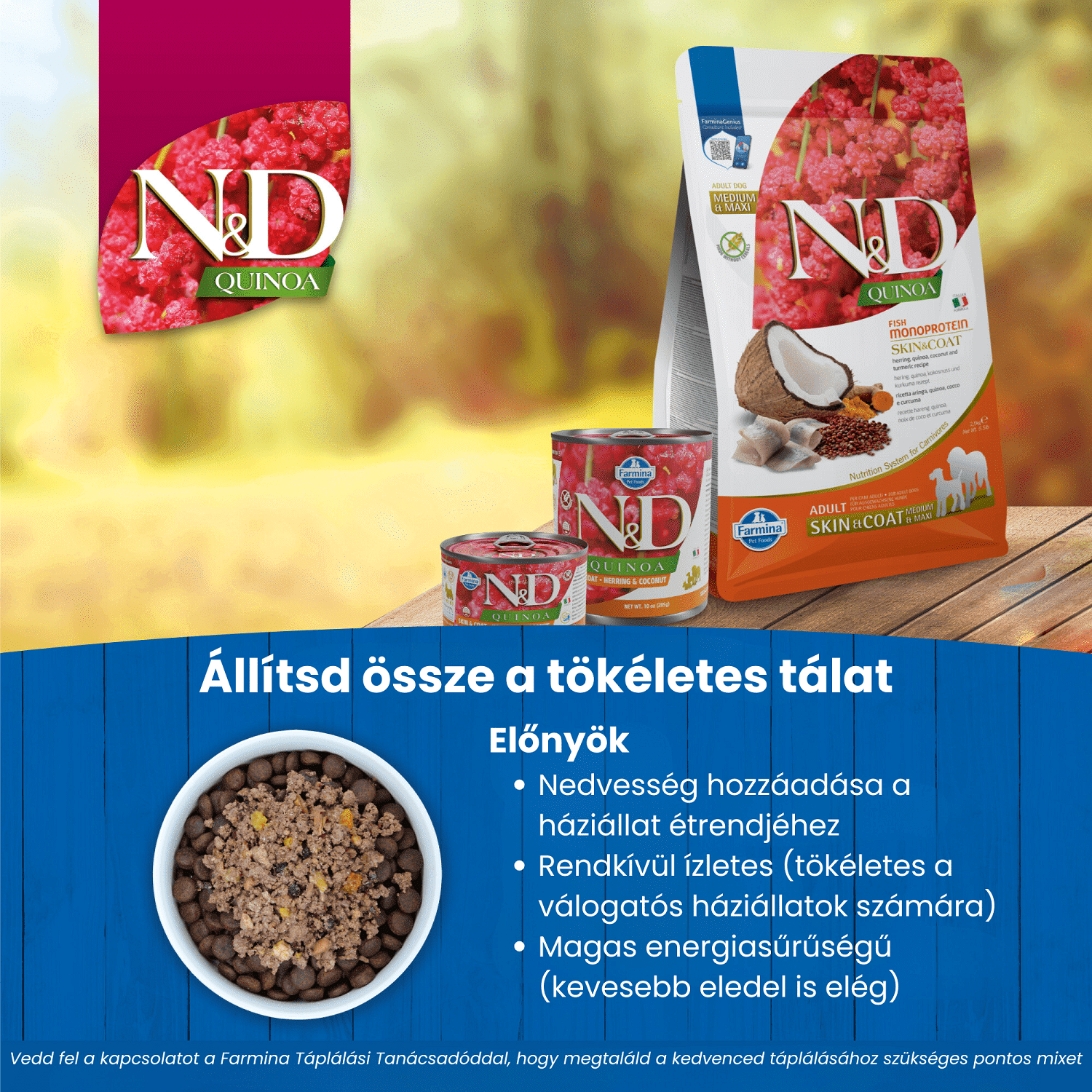 N&D Dog Grain Free Quinoa Skin & Coat Herring – Bőr- és szőrproblémákra | Szuperprémium kutyaeledel