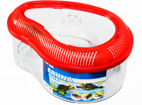 Fauna-box kis kilépő szigettel, azon pálmafával