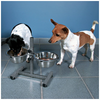 Állítható magasságú fém kutyatál állvány #6