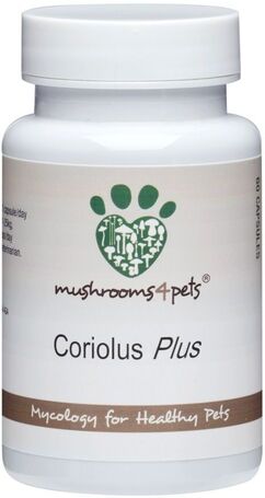 Mushrooms 4 Pets Coriolus Plus immunerősítő gomba kapszula kutyáknak és macskáknak