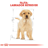 Royal Canin Labrador Junior - Labrador Retriever kölyök kutya száraz táp #2