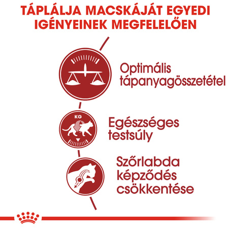 Royal Canin Fit - aktív felnőtt macska száraz táp