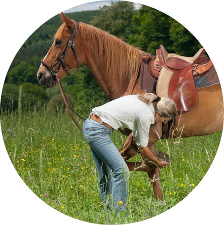 Nyírrothadás elleni termékek