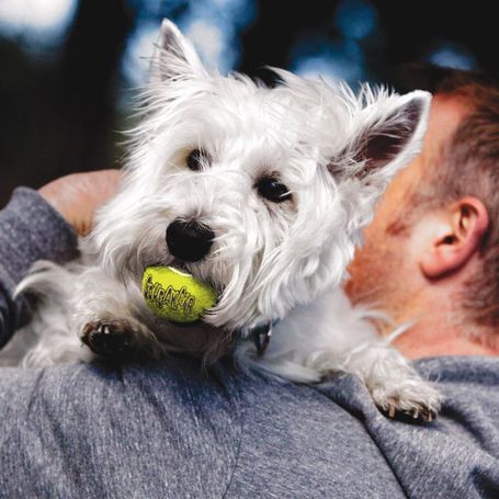 Kong Squeakair teniszlabdák