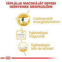 Royal Canin British Shorthair Adult - Brit rövidszörű felnőtt macska nedves táp #4