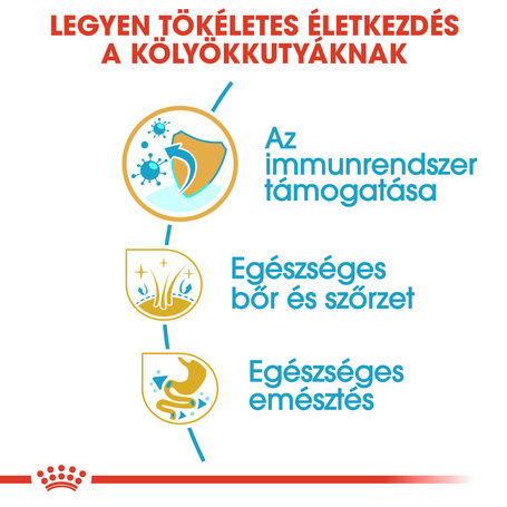 Royal Canin Golden Retriever Puppy - Golden Retriever kölyök kutya száraz táp