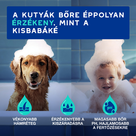 Douxo Spa szagsemlegesítő sampon kutyáknak