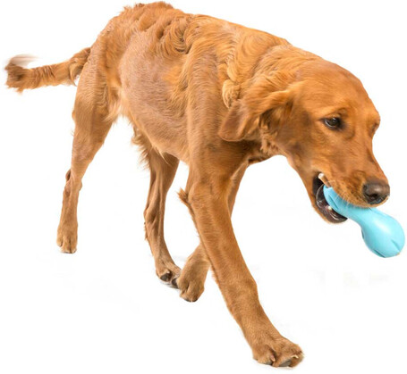 West Paw Qwizl - Jutalomfalattal tölthető rágóka