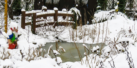 Kerti tavunk felkészítése a télre