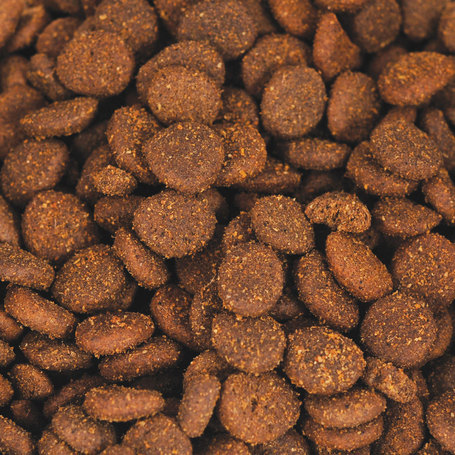 Acana Ranchlands Dog