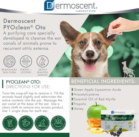 Dermoscent PYOclean Oto kutyáknak, macskáknak és nyulaknak